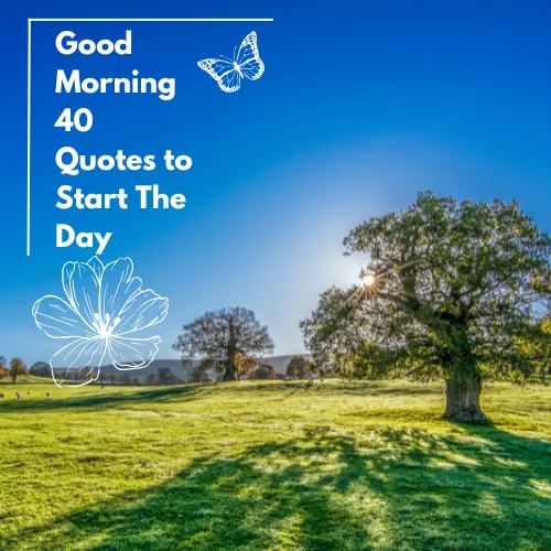 Good Morning 40 Quotes to Start The Day