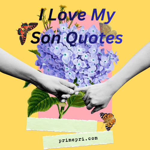 I Love My Son Quotes