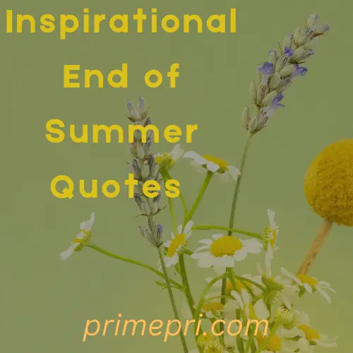 Inspirational End of Summer Quotes