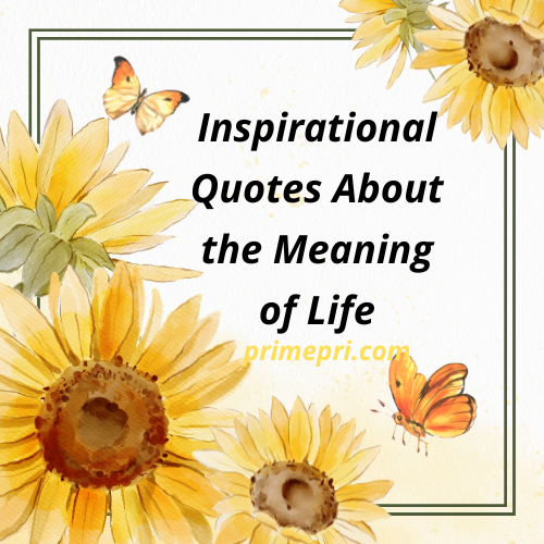 Inspirational Quotes About the Meaning of Life