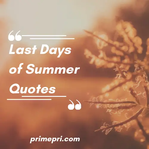 Last Days of Summer Quotes