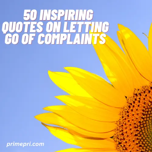 50 Inspiring Quotes on Letting Go of Complaints