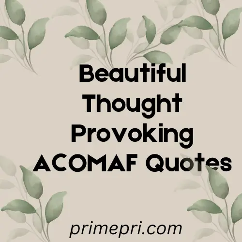 Beautiful Thought Provoking ACOMAF Quotes