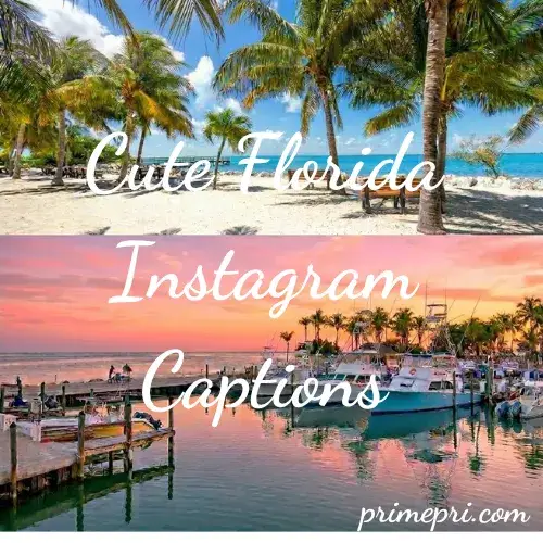 Cute Florida Instagram Captions
