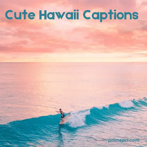 Cute Hawaii Captions