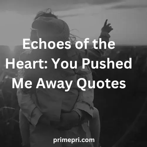 Echoes of the Heart You Pushed Me Away Quotes