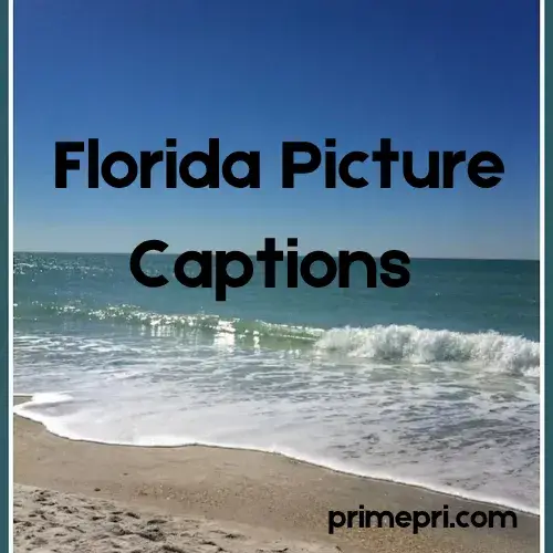 Florida Picture Captions