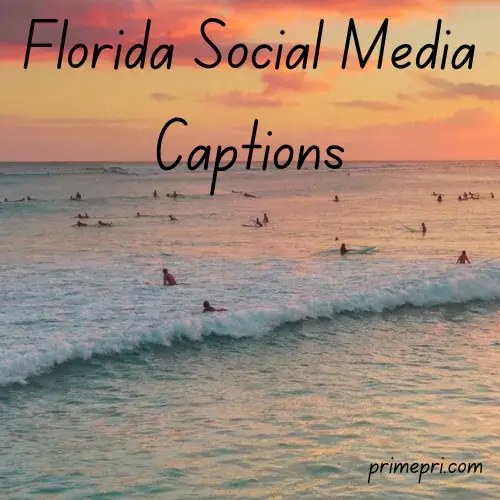Florida Social Media Captions