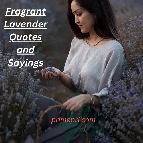Fragrant Lavender Quotes and Sayings