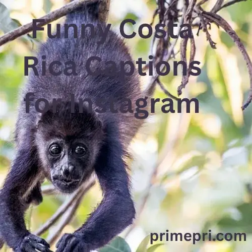 Funny Costa Rica Captions for Instagram