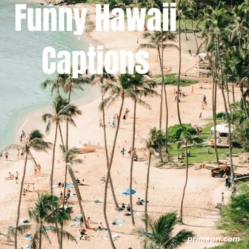 Funny Hawaii Captions