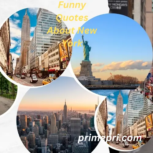 Funny Quotes About New York