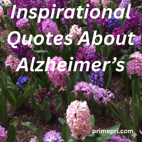 Inspirational Quotes About Alzheimer’s