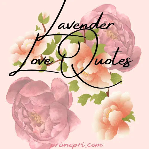 Lavender Love Quotes