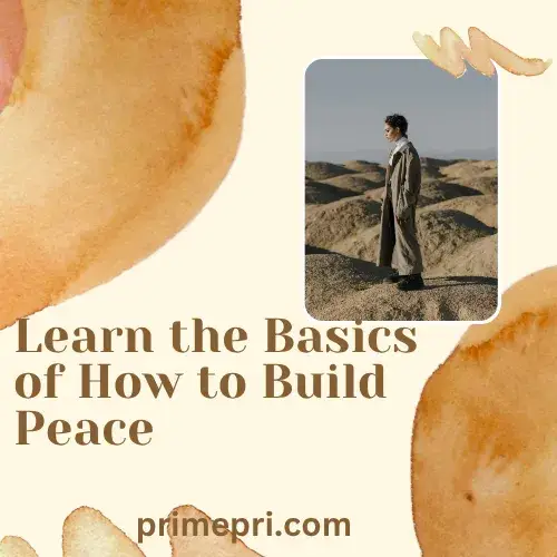 Learn the Basics of How to Build Peace