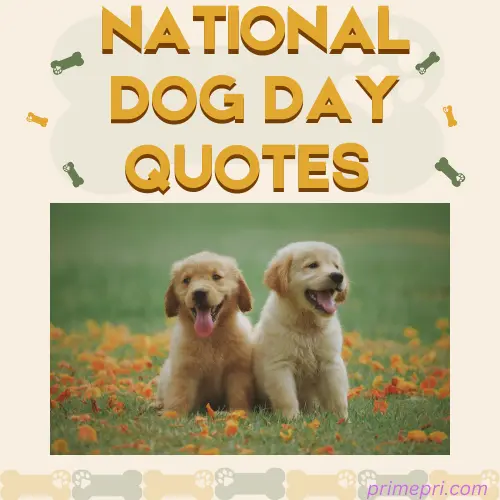 National Dog Day Quotes