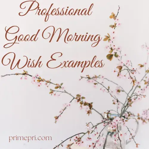 Professional Good Morning Wish Examples