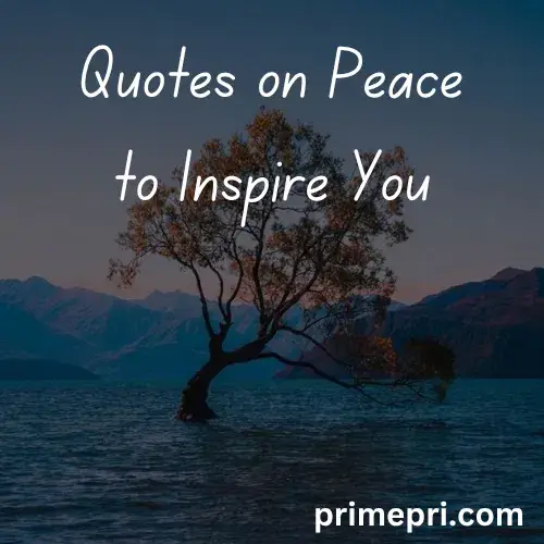 Quotes on Peace to Inspire You