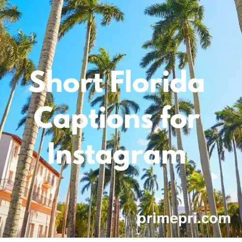 Short Florida Captions for Instagram