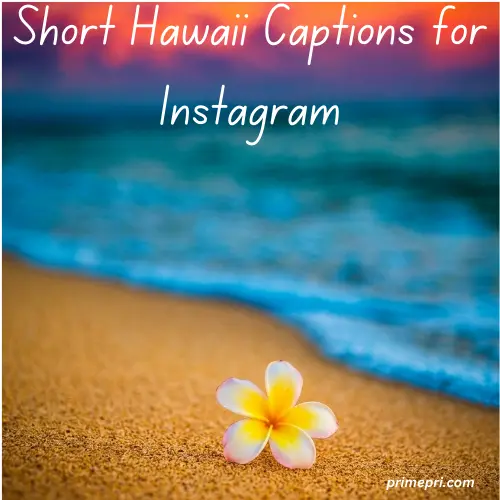 Short Hawaii Captions for Instagram