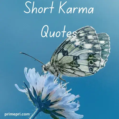 Short Karma Quotes