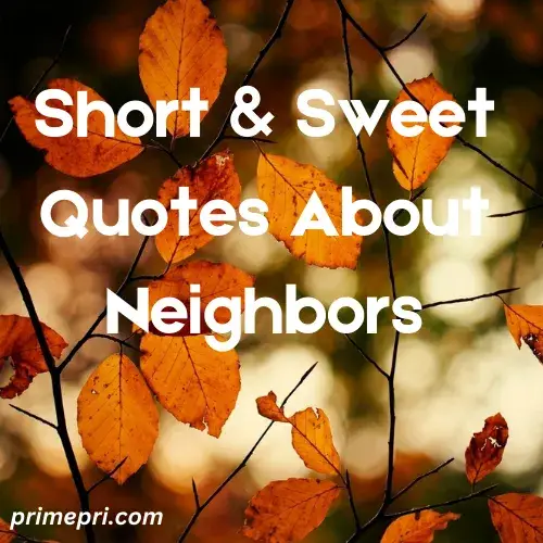 Short & Sweet Quotes About Neighbors