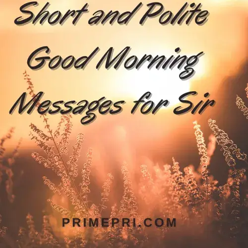 Short and Polite Good Morning Messages for Sir