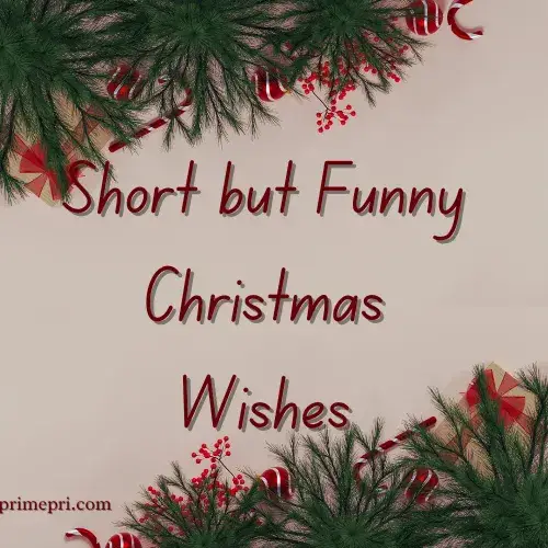Short but Funny Christmas Wishes