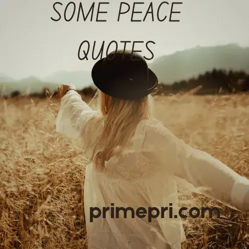 Some Peace Quotes