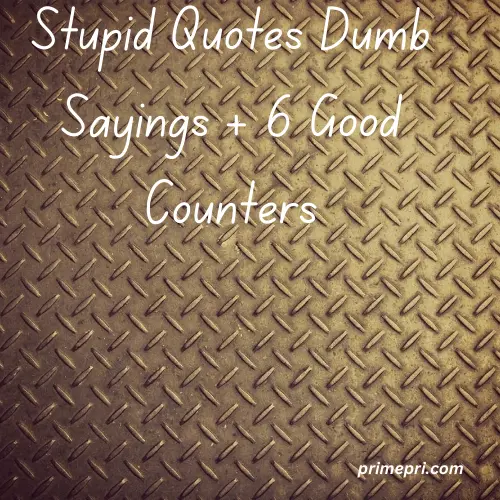 Stupid Quotes, Dumb Sayings + 6 Good Counters