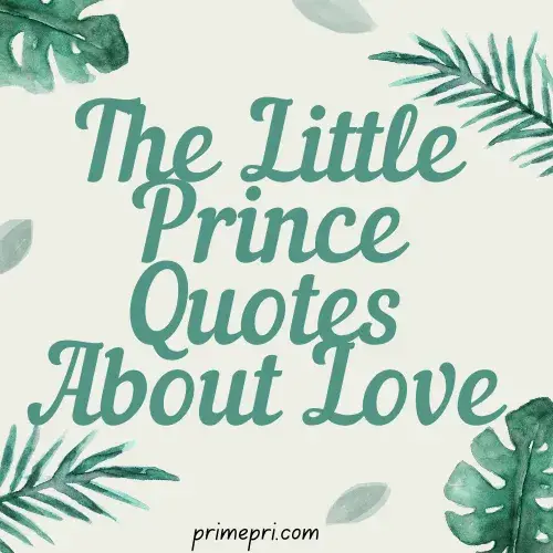 The Little Prince Quotes About Love
