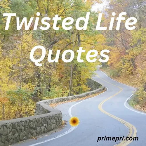 2. Twisted Life Quotes