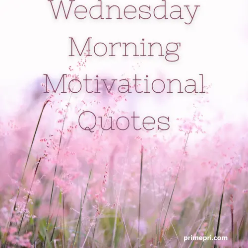 Wednesday Morning Motivational Quotes