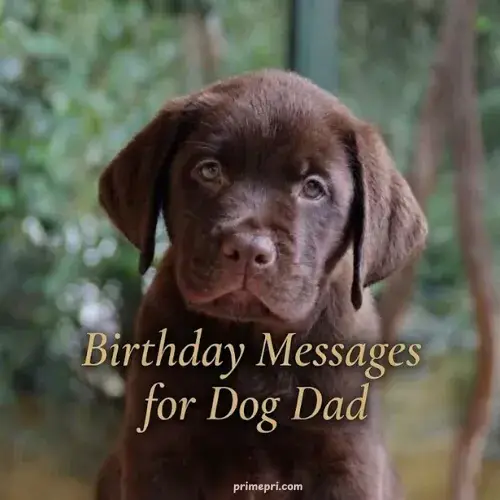 Birthday Messages for Dog Dad
