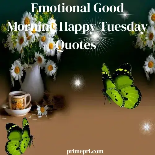 Emotional Good Morning Happy Tuesday Quotes