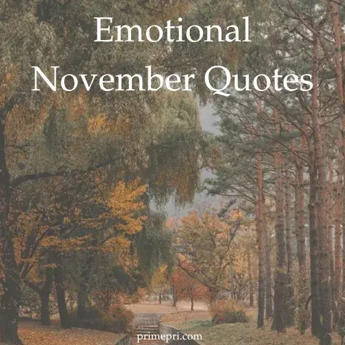 Emotional November Quotes