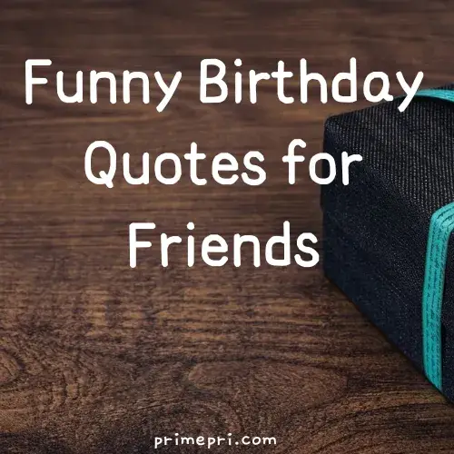 Funny Birthday Quotes for Friends