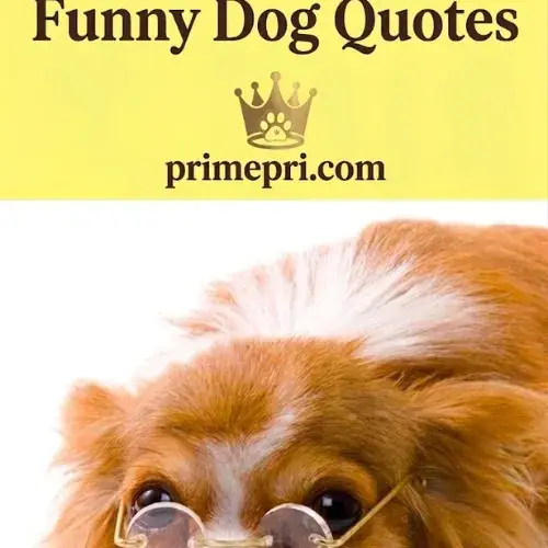 Funny Dog Quotes