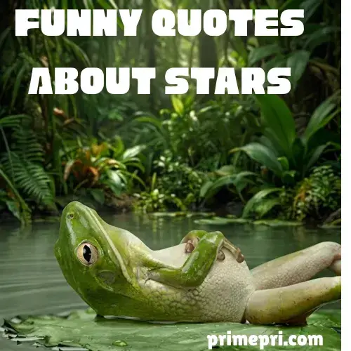 Funny Quotes About Stars
