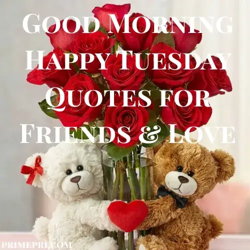 Good Morning Happy Tuesday Quotes for Friends & Love