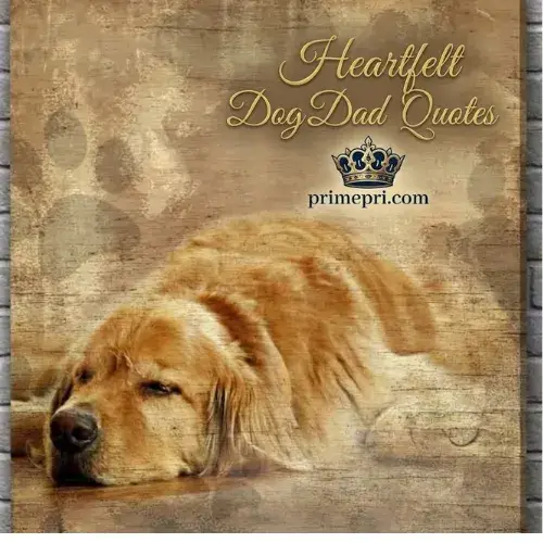 Heartfelt Dog Dad Quotes