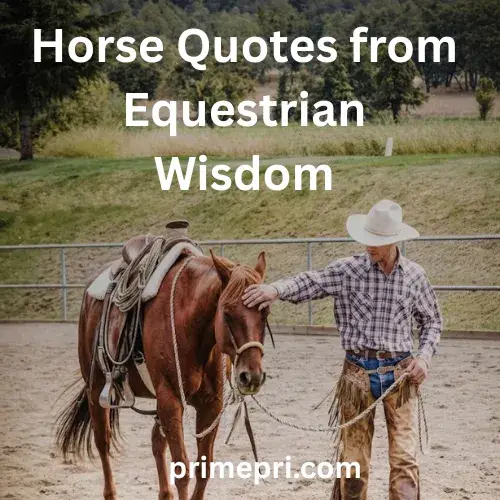Horse Quotes from Equestrian Wisdom
