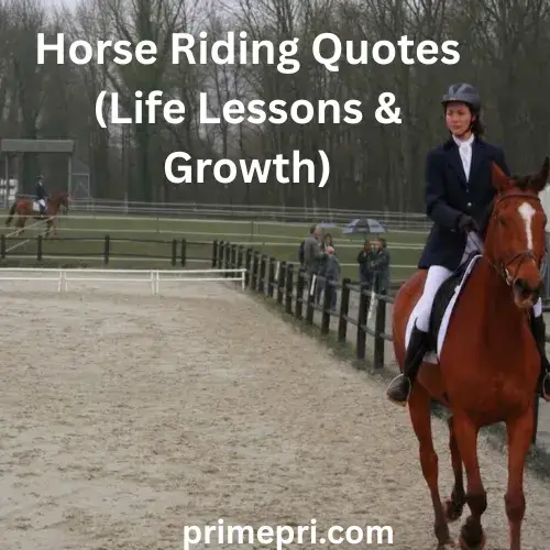 Horse Riding Quotes (Life Lessons & Growth)