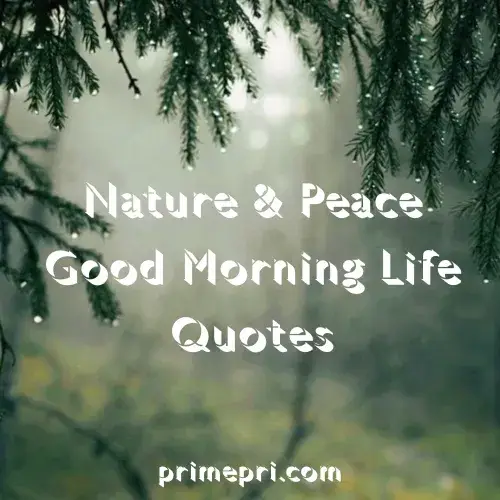 Nature & Peace Good Morning Life Quotes