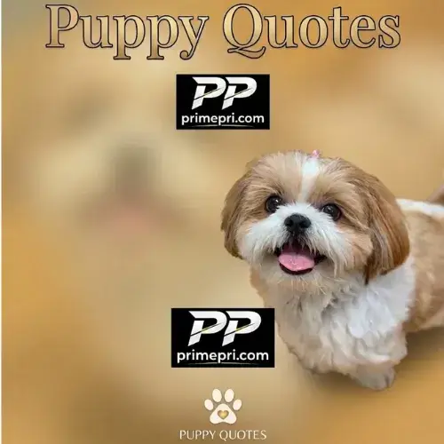 Puppy Quotes