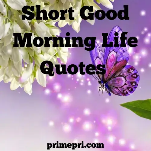 Short Good Morning Life Quotes