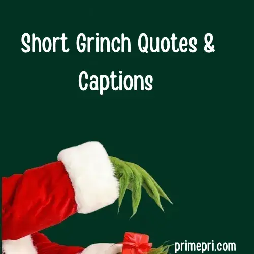 Short Grinch Quotes & Captions