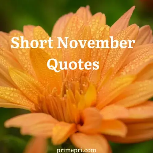 Short November Quotes