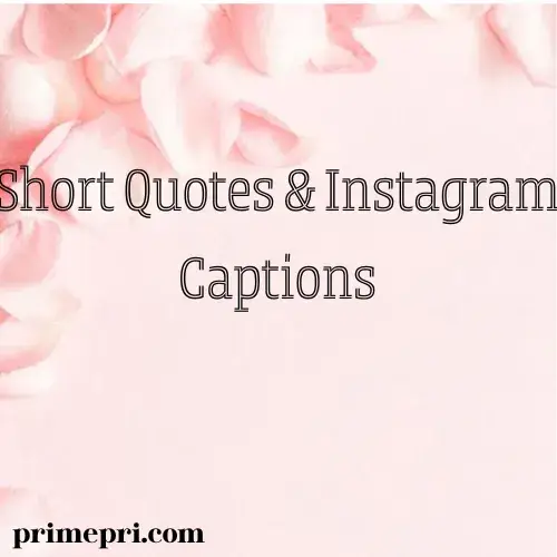 Short Quotes & Instagram Captions