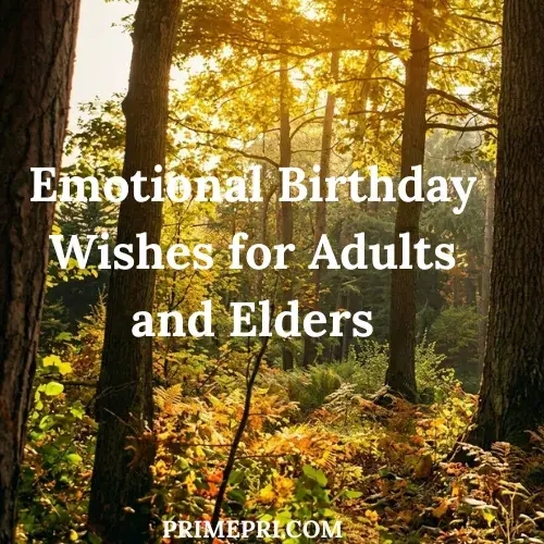 Emotional Birthday Wishes for Adults and Elders